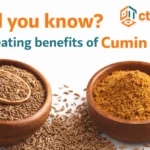 Eating Benefits of Cumin